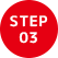 STEP03